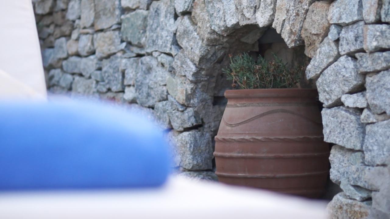 Dionysos Luxury Hotel Mykonos Ornos  Exterior foto